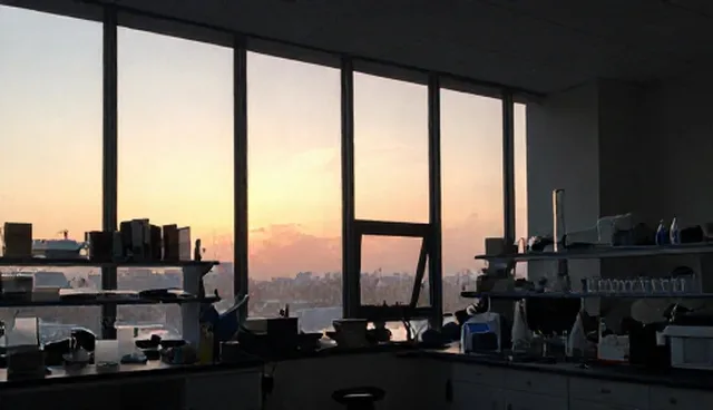 北京公司网站制作需注意的黄页信息收录检查要点